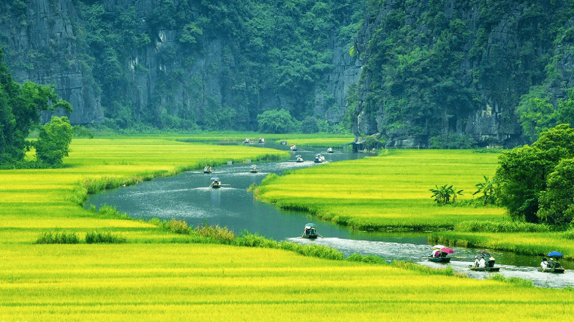 Tour trong ngày | Khám phá Hoa Lư - Tam Cốc - Hang Múa - Đạp xe | Ninh Bình